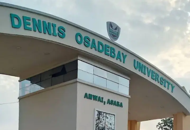 Dennis Osadebay University.png